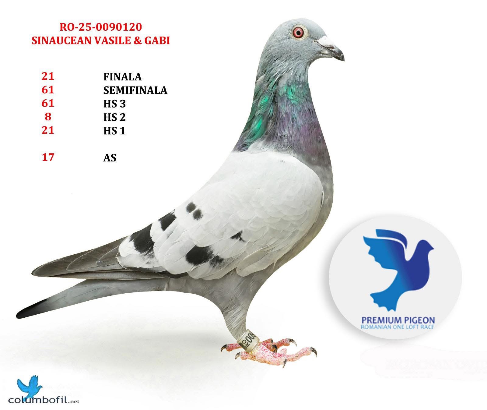 21 FINAL PREMIUM