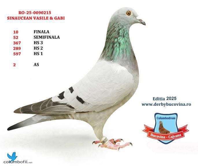 10 FINAL,2 AS CAJVANA