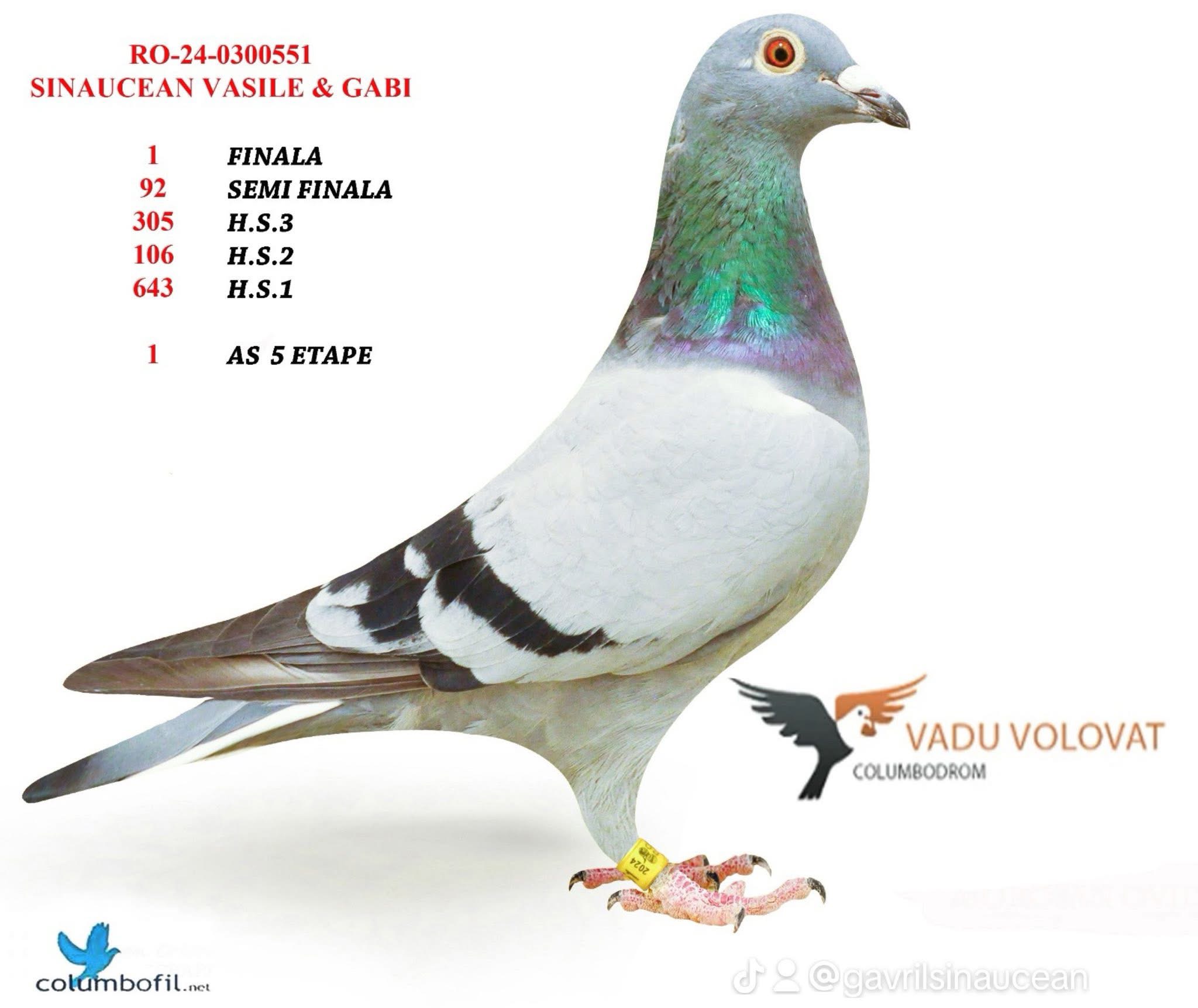 Loc 1 FIN,1 AS VADU