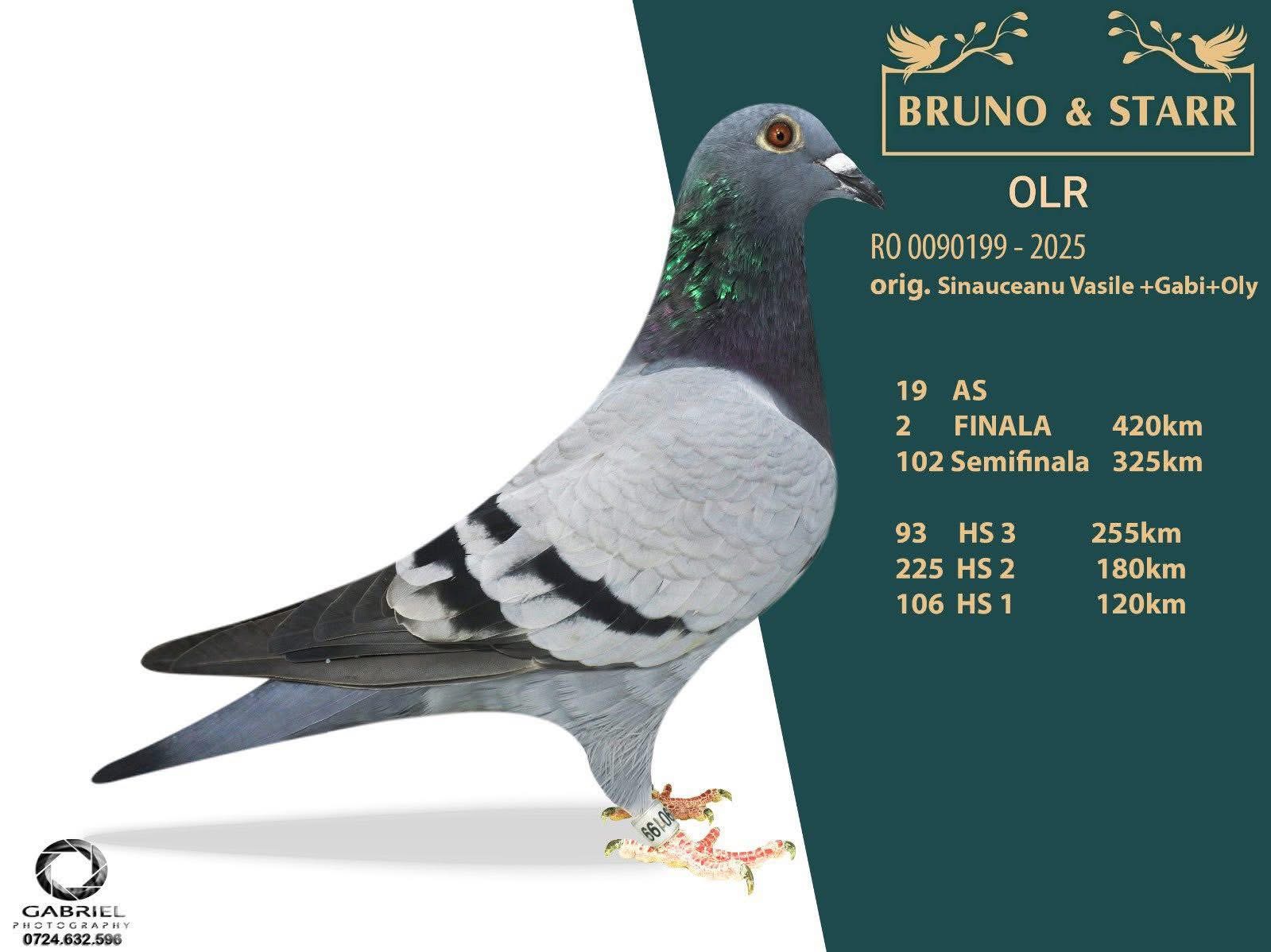 LOC 2 FINAL BRUNO